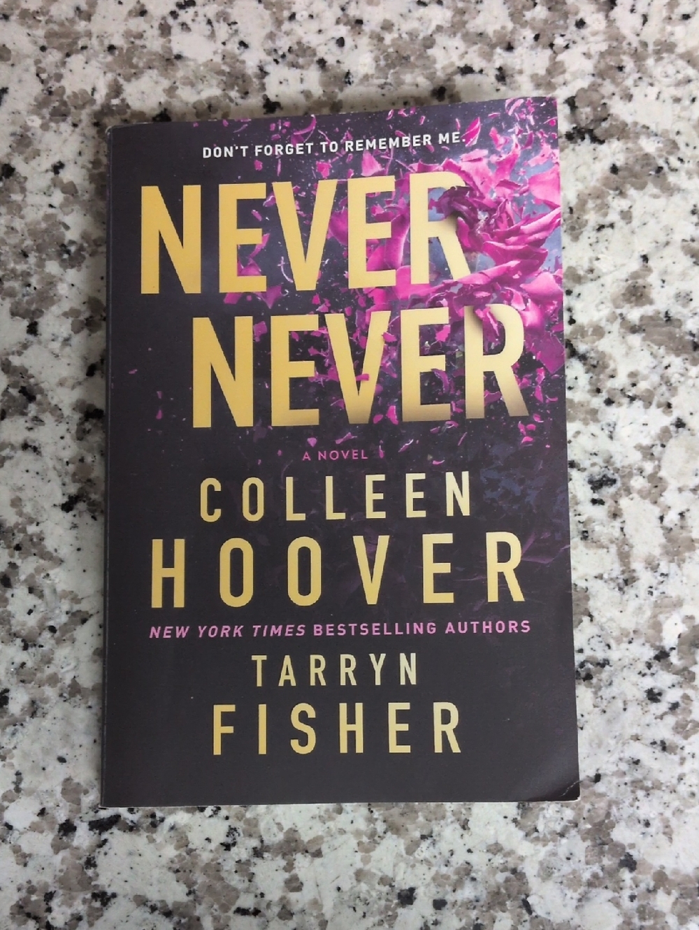 Never Never Colleen Hoover Romance Novels